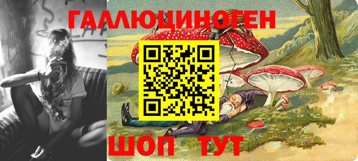 Псилоцибиновые грибы Psilocybine cubensis Нижний Новгород