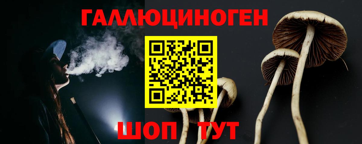 Псилоцибиновые грибы Psilocybe  наркотики  Псилоцибиновые грибы мухоморы  Нижний Новгород  Вход с VPN 